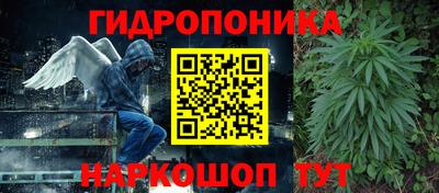 ГАЛЛЮЦИНОГЕННЫЕ ГРИБЫ Апшеронск